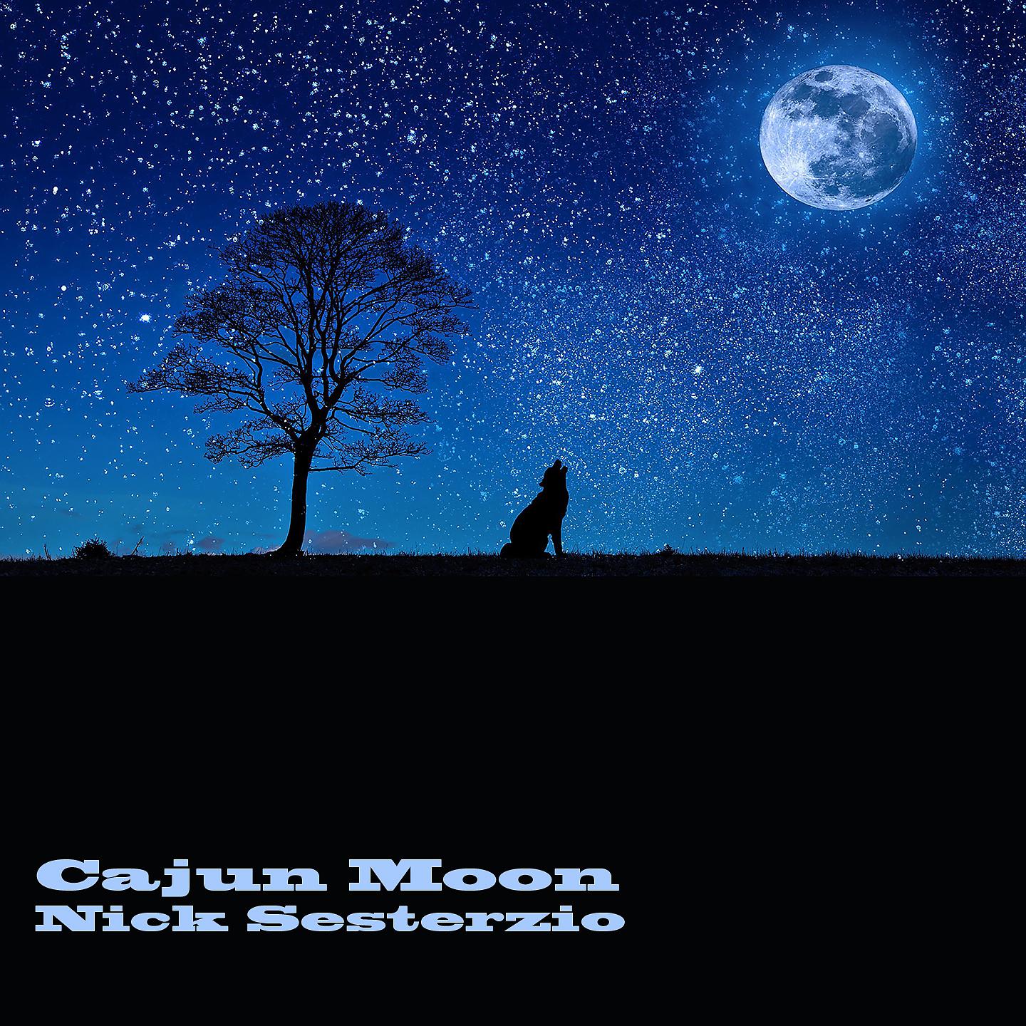 Постер альбома Cajun Moon