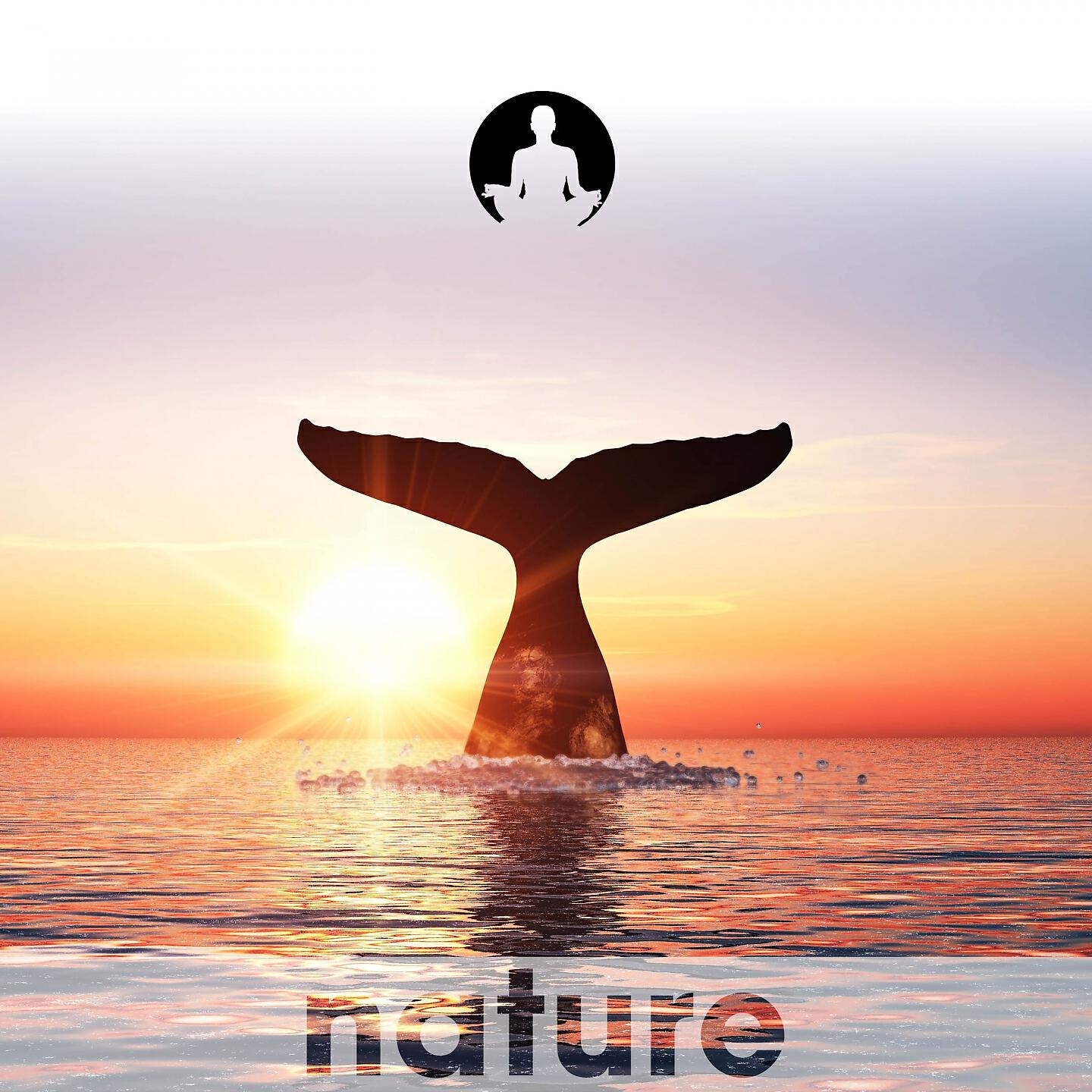 Nature's Harmony - Under Current