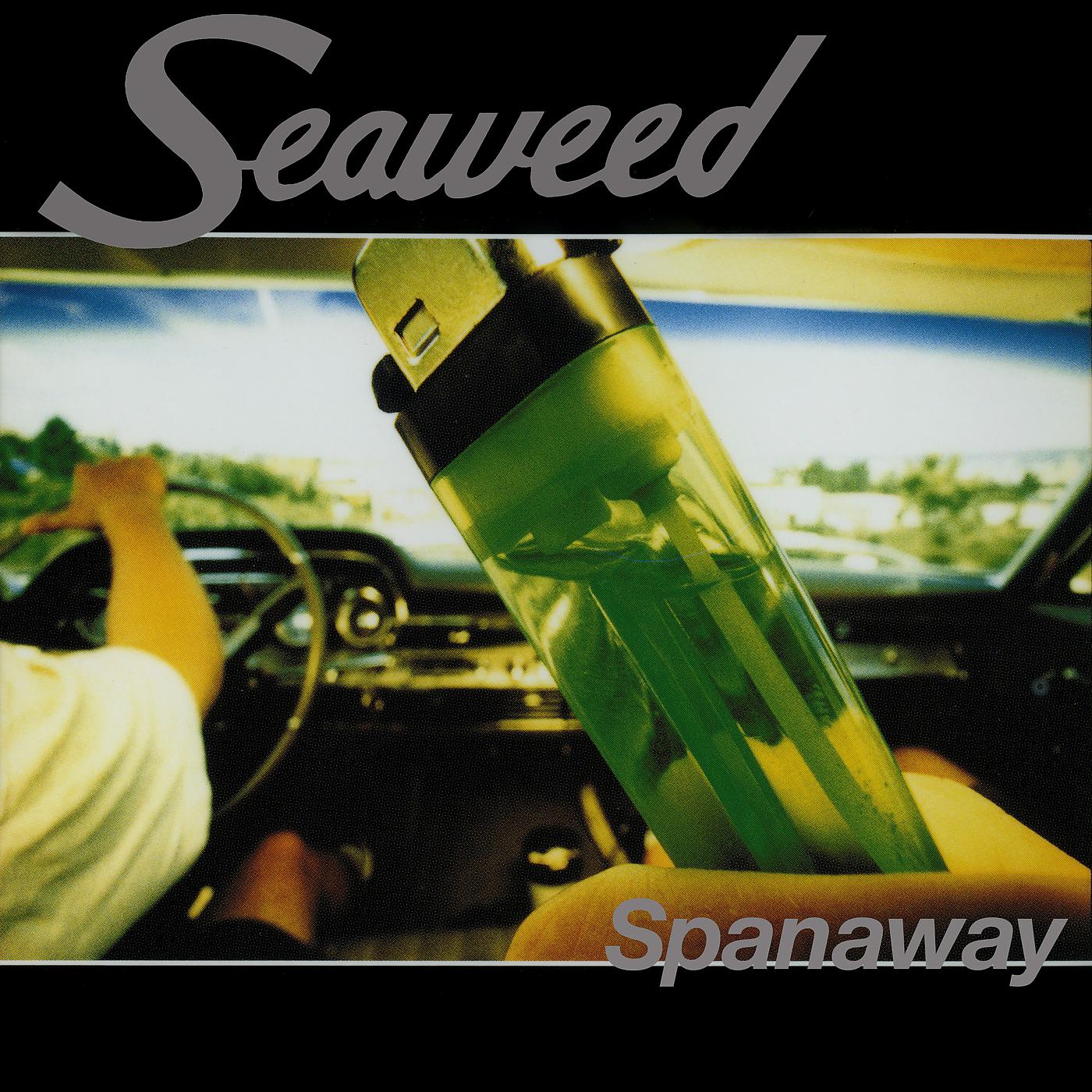 Постер альбома Spanaway