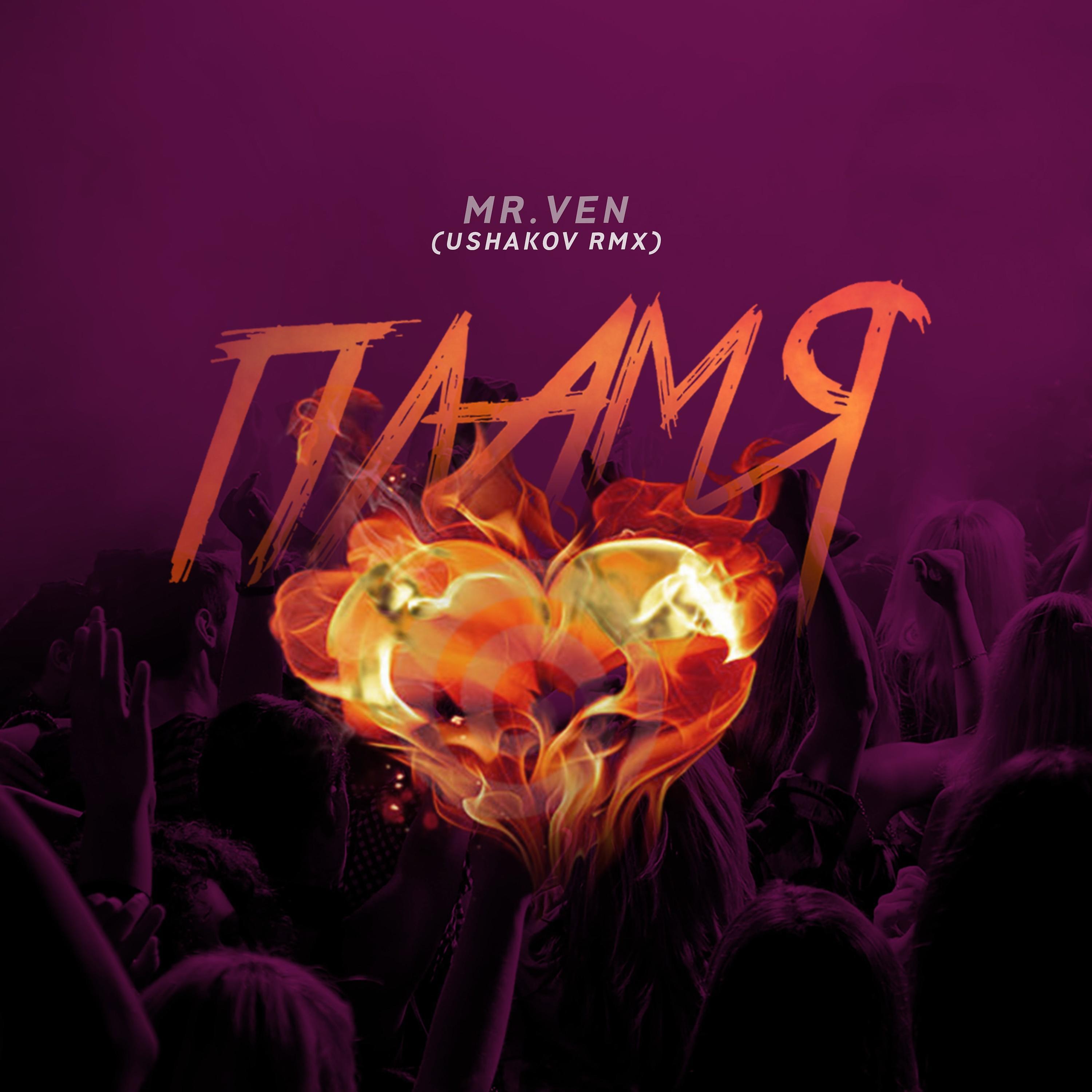 Постер альбома Пламя (Ushakov Remix)