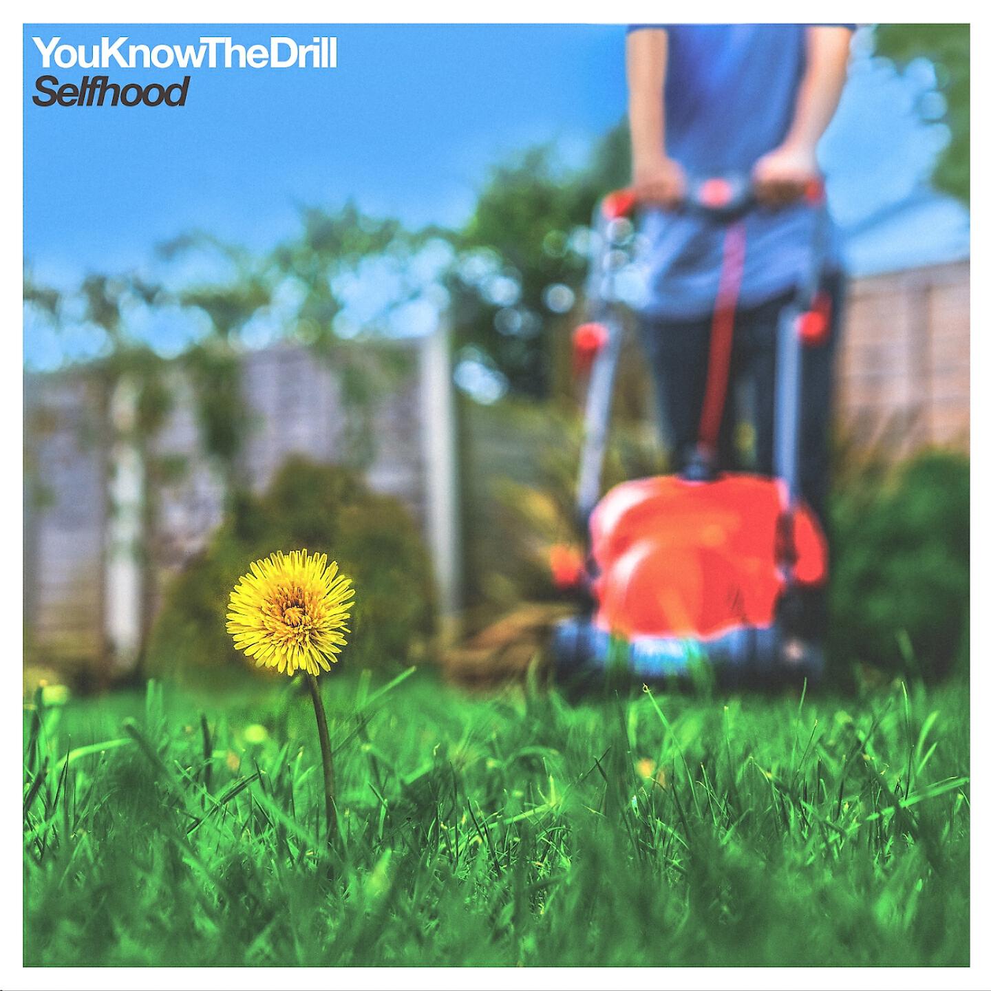 You Know the Drill - Blossom