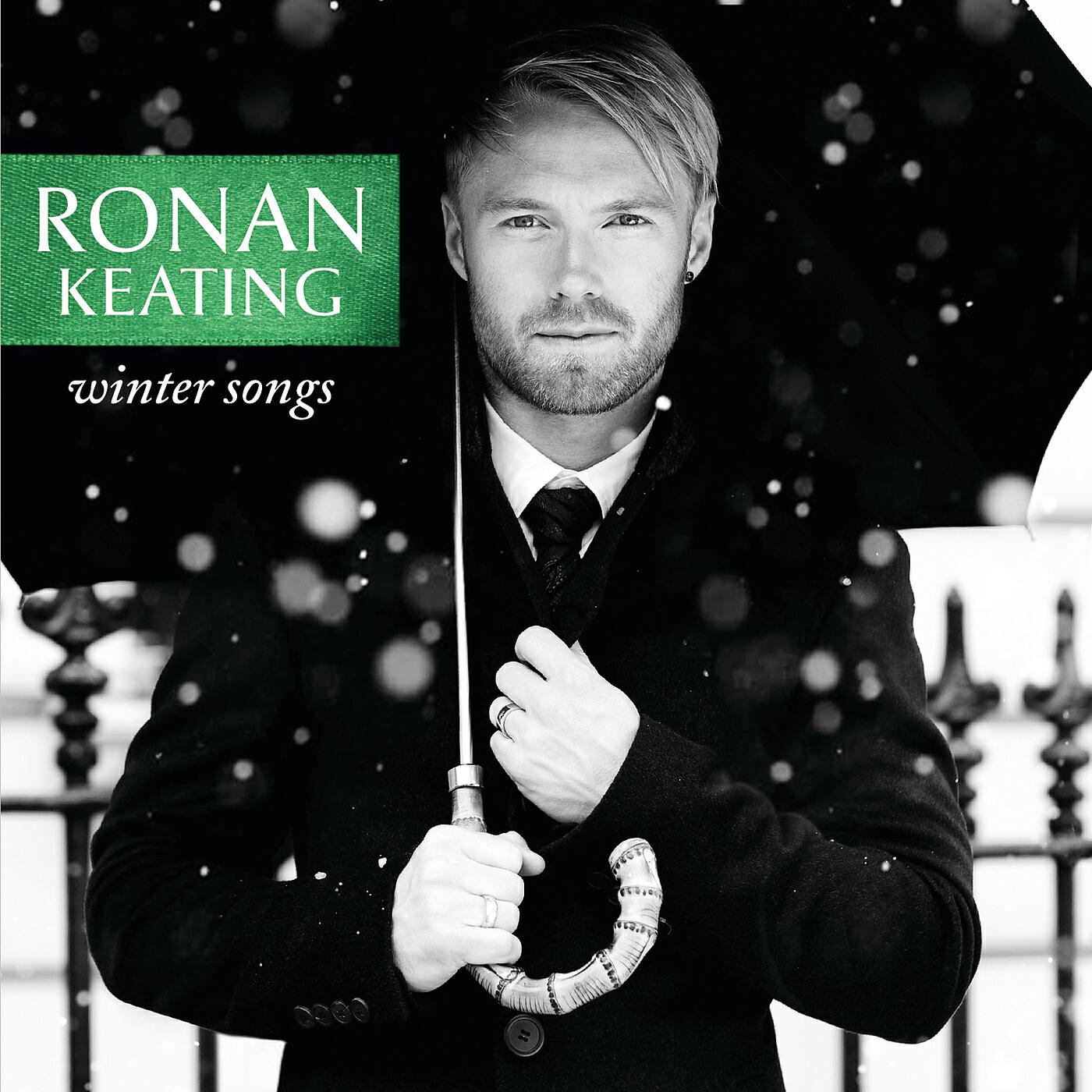 Ronan Keating - I Won't Last A Day Without You (Album Version)