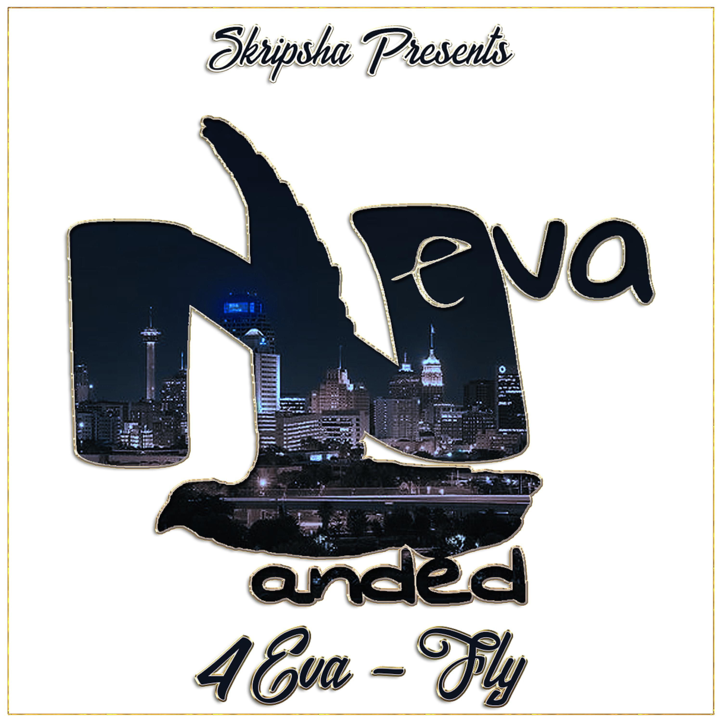 Постер альбома Neva Landed: 4 Eva Fly