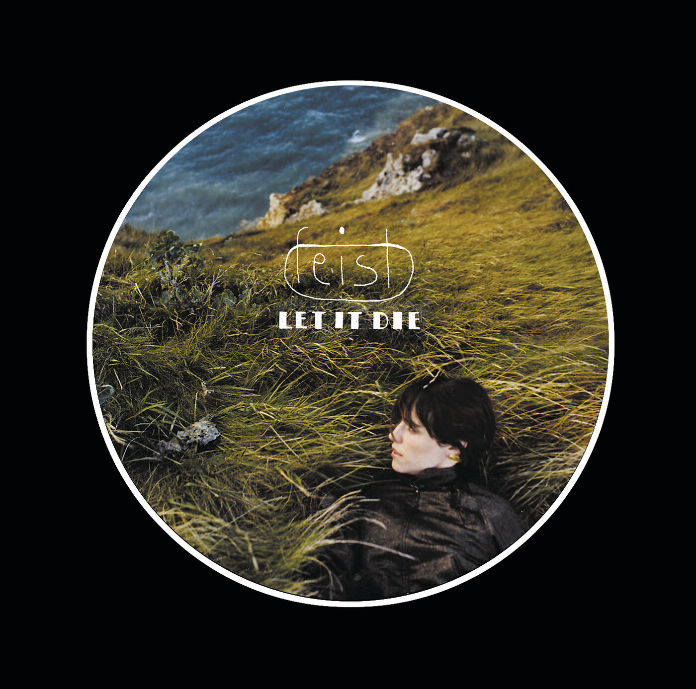 Feist - One Evening (Album Version)