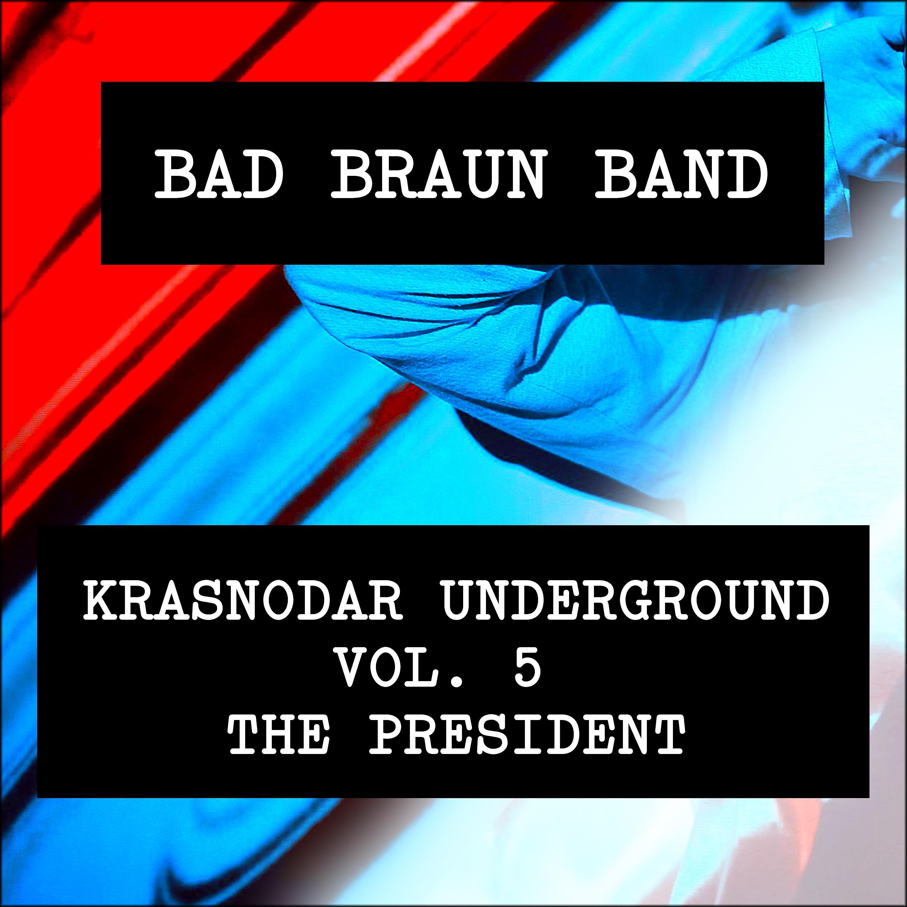 Постер альбома Krasnodar Underground, Vol. 5 (the President)