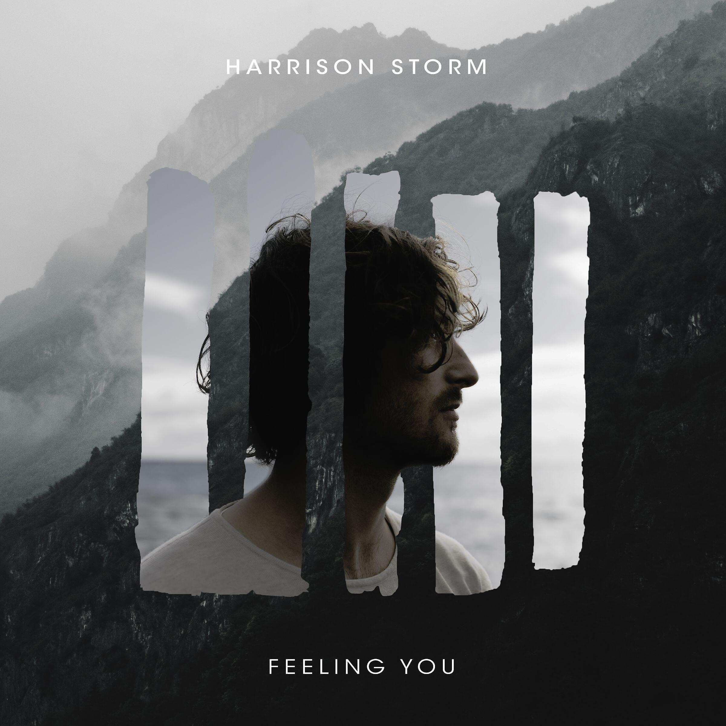 Harrison Storm - Feeling You