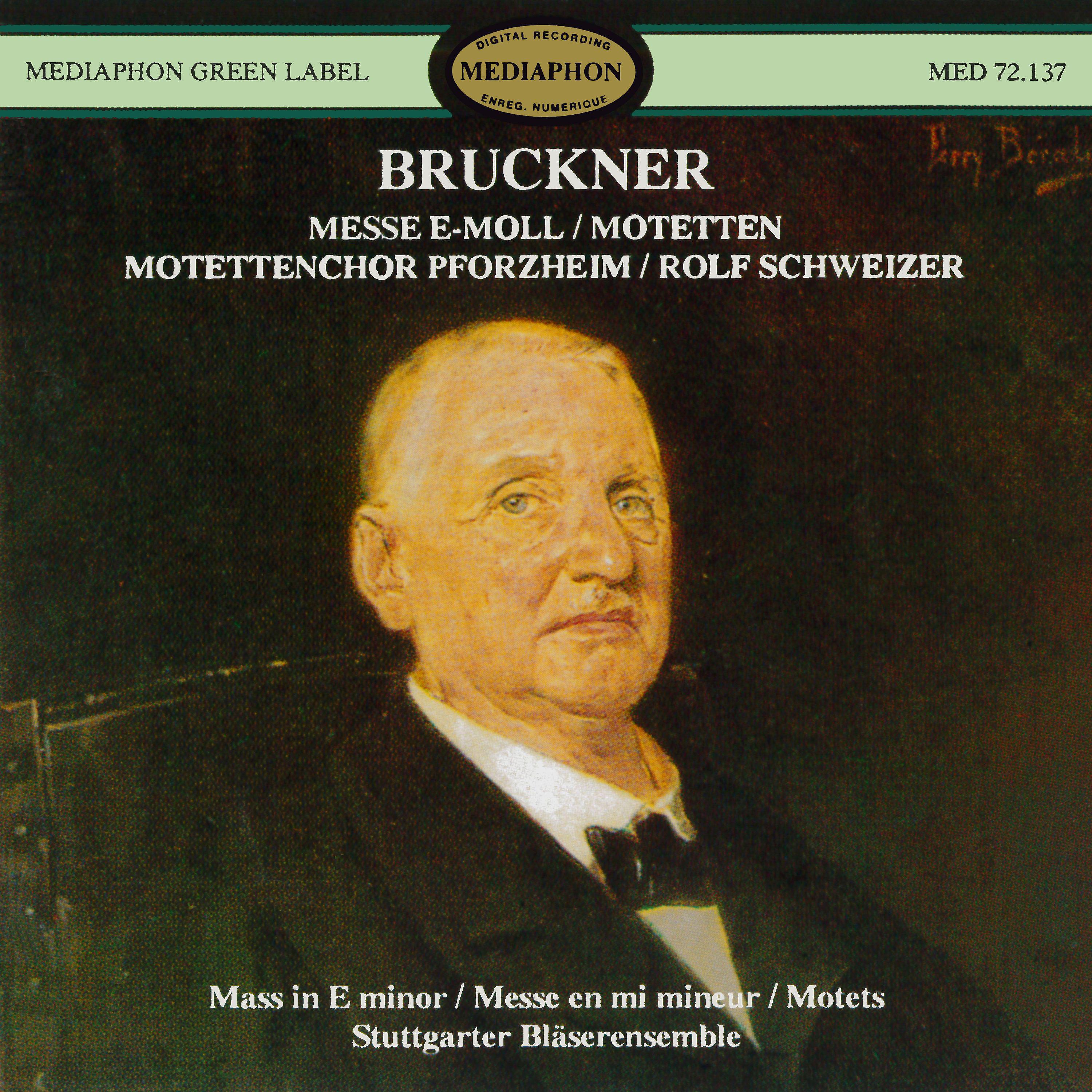 Постер альбома Bruckner: Mass No. 2 in E Minor and Motets
