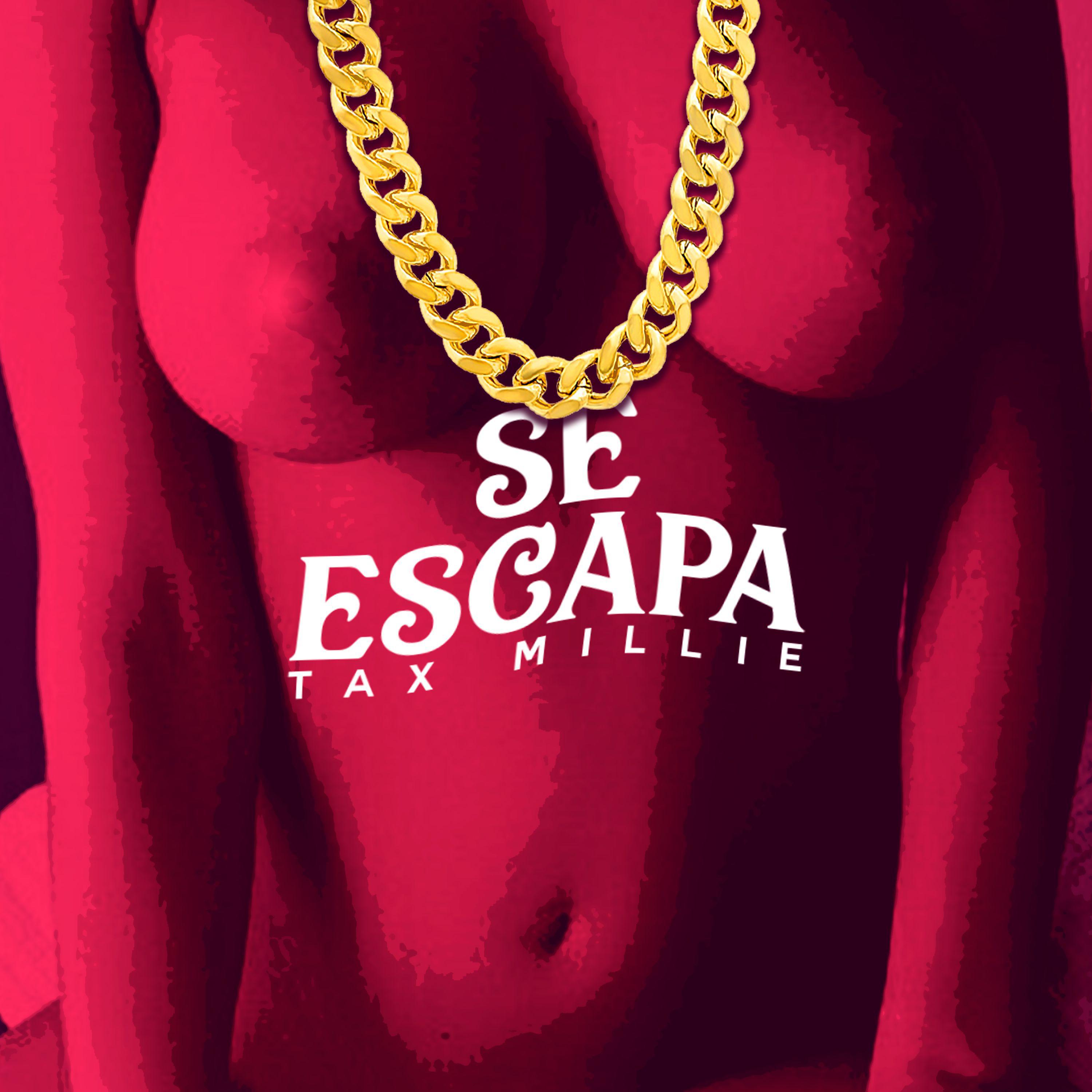 Постер альбома Se Escapa