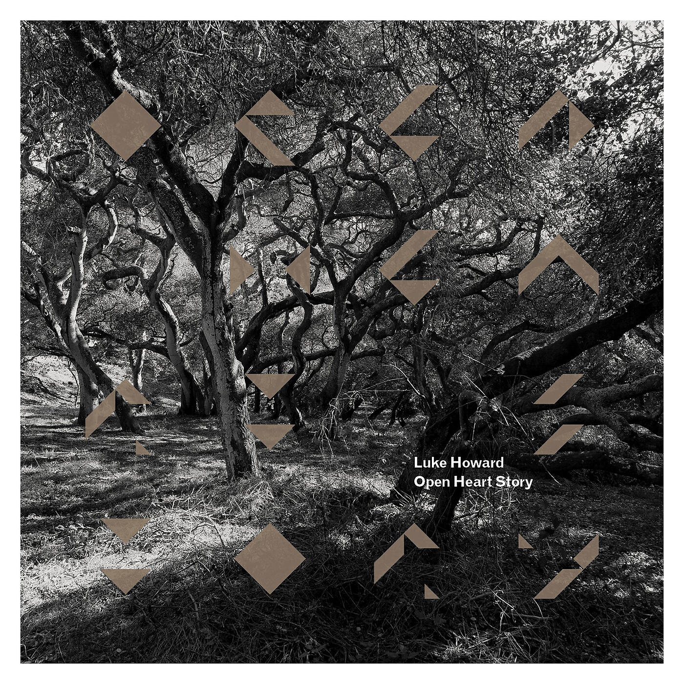 Luke Howard - Elysian Fields