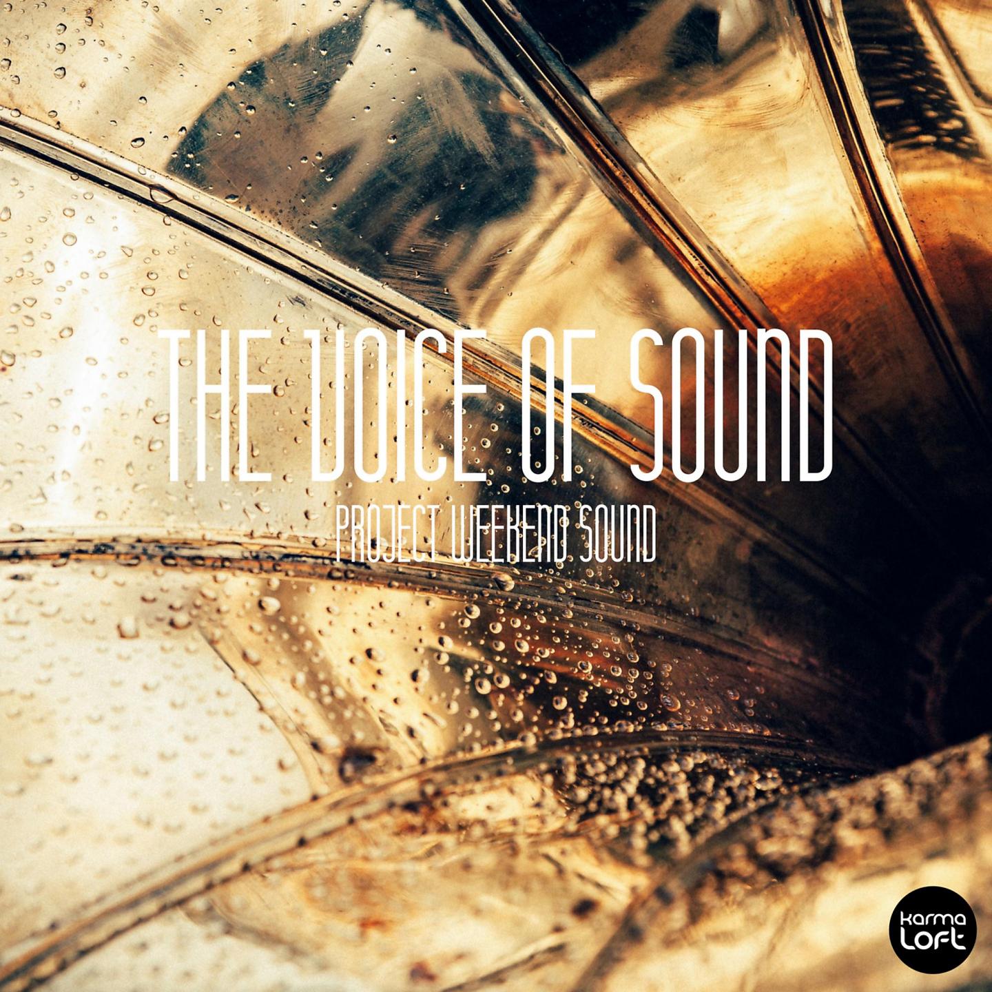 Постер альбома The Voice of Sound