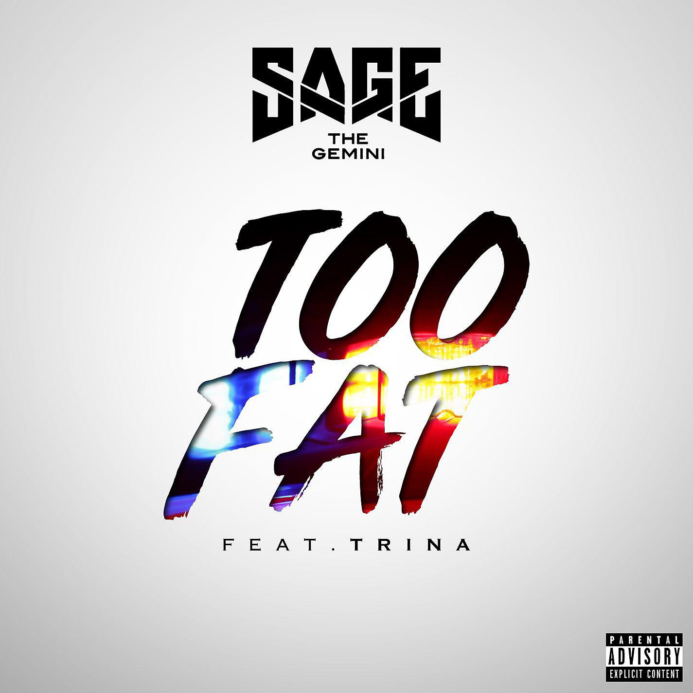 Постер альбома Too Fat (feat. Trina)