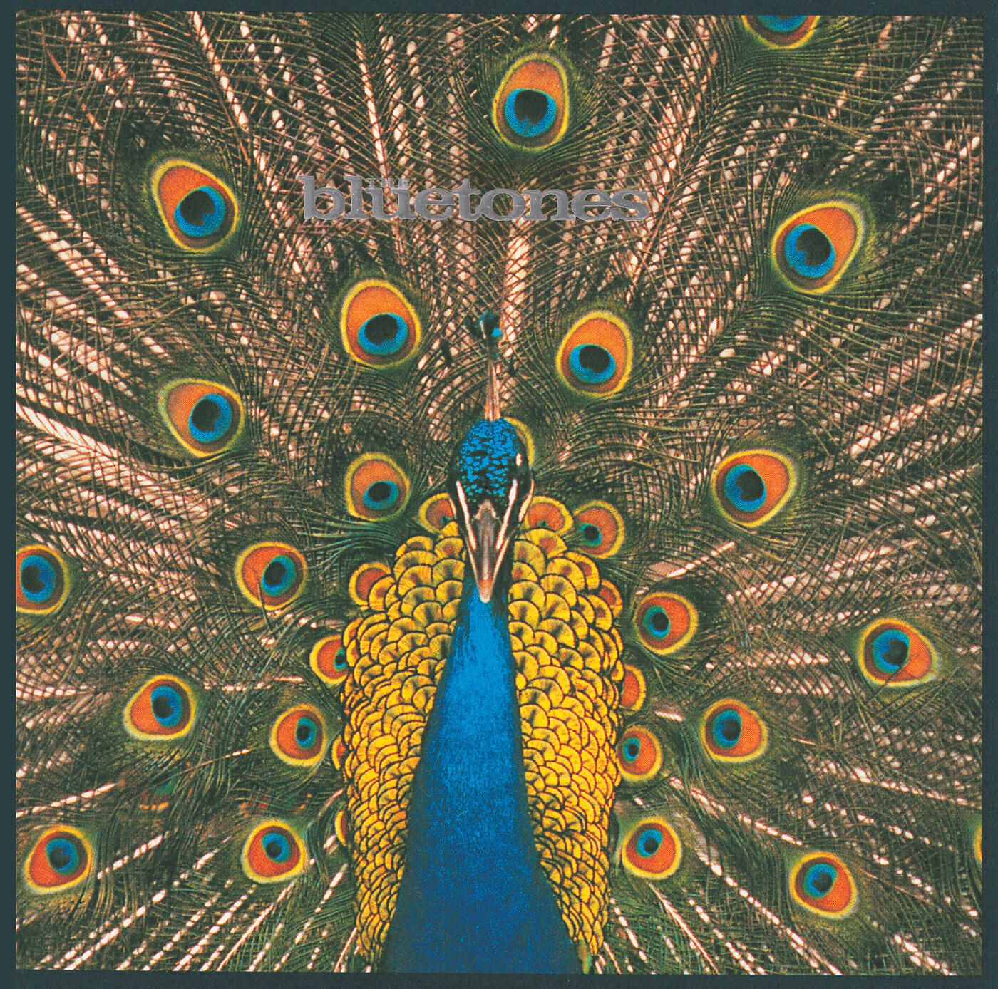 The Bluetones - The Fountainhead (Mark Radcliffe Radio1 '95 - Trans. 22.5.95)