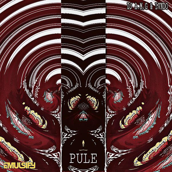Постер альбома Pule
