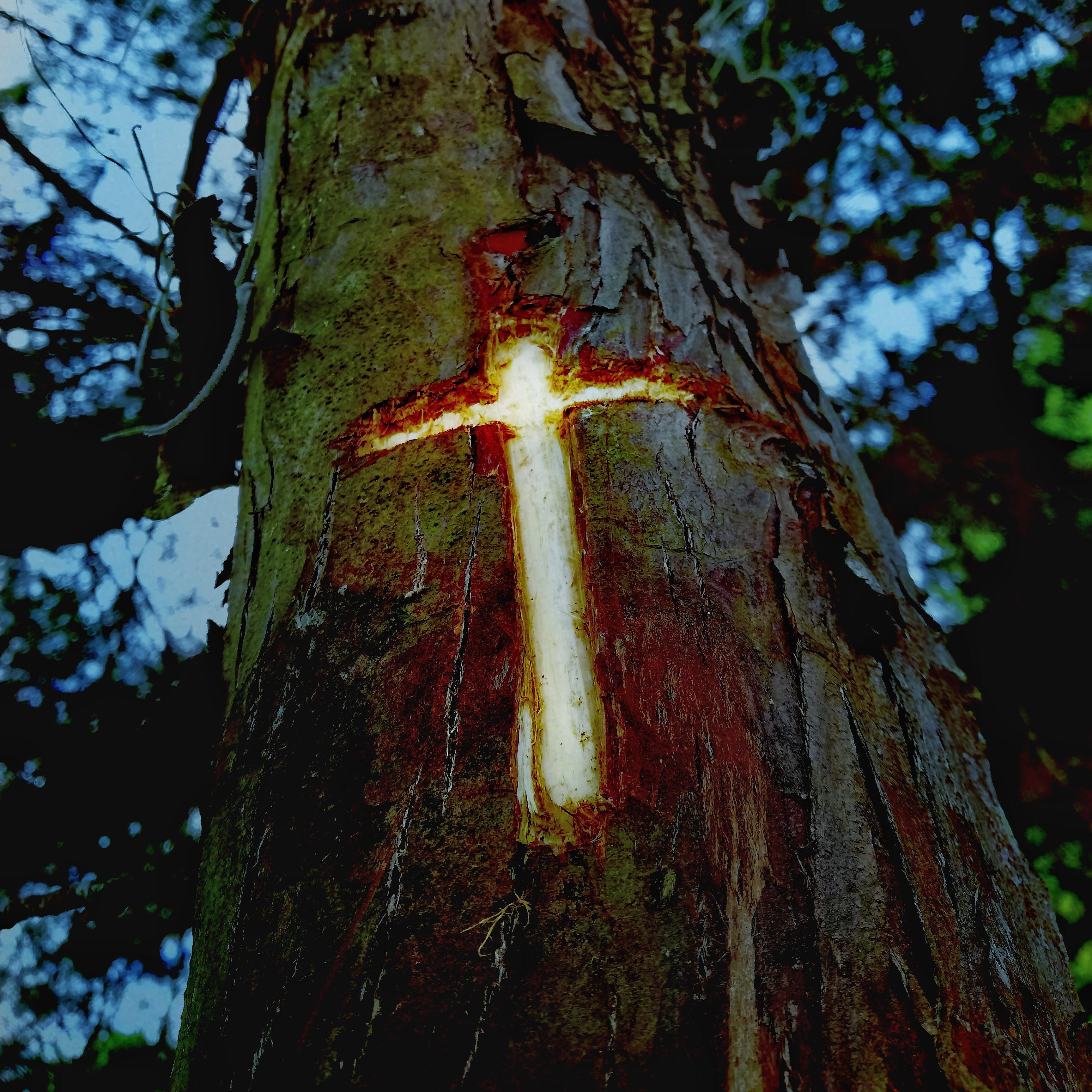 Anibal Zapata - Via Crucis