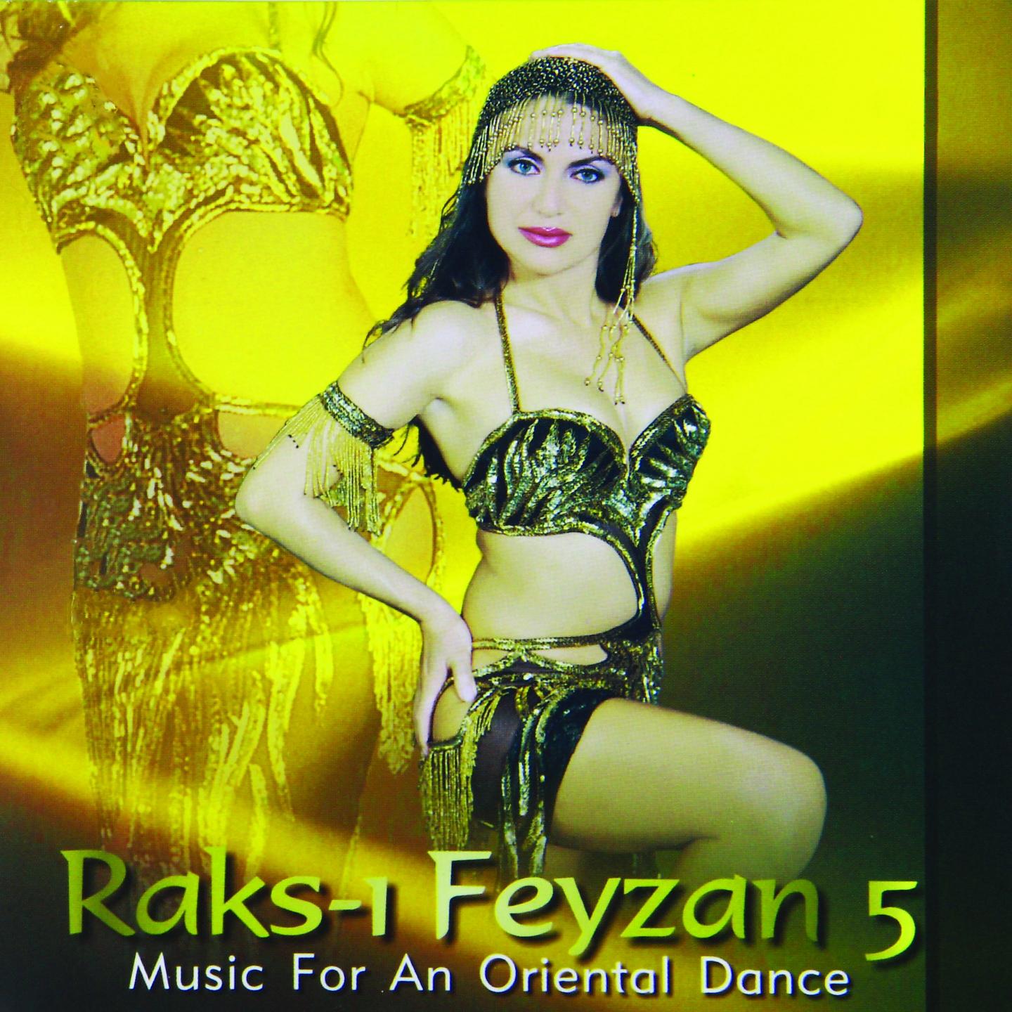 Постер альбома Raks-ı Feyzan, Vol. 5