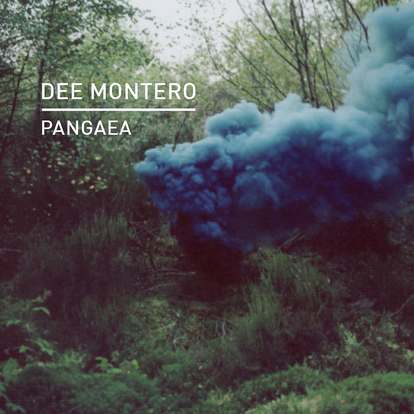 Dee Montero - Voyager (Martin Buttrich Dub)