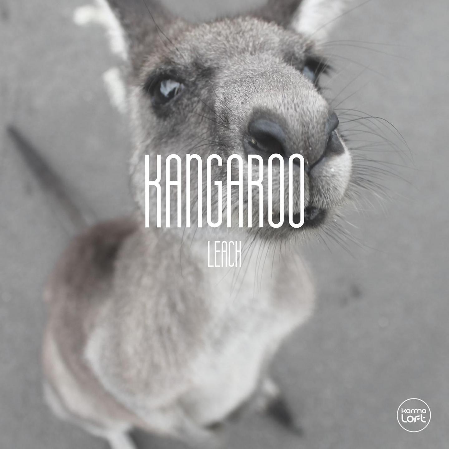 Постер альбома Kangaroo