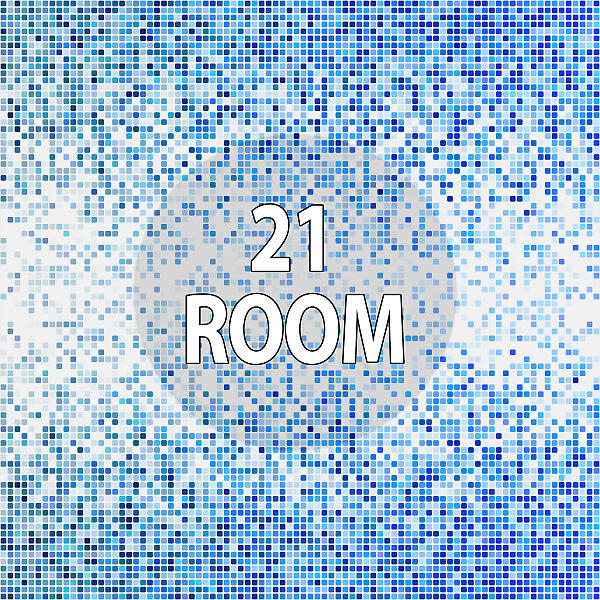 Big Bunny - Came to the Underground (21 ROOM Remix)