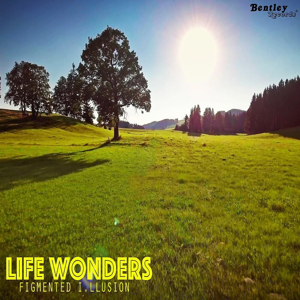 Figmented I.Llusion - Life Wonders