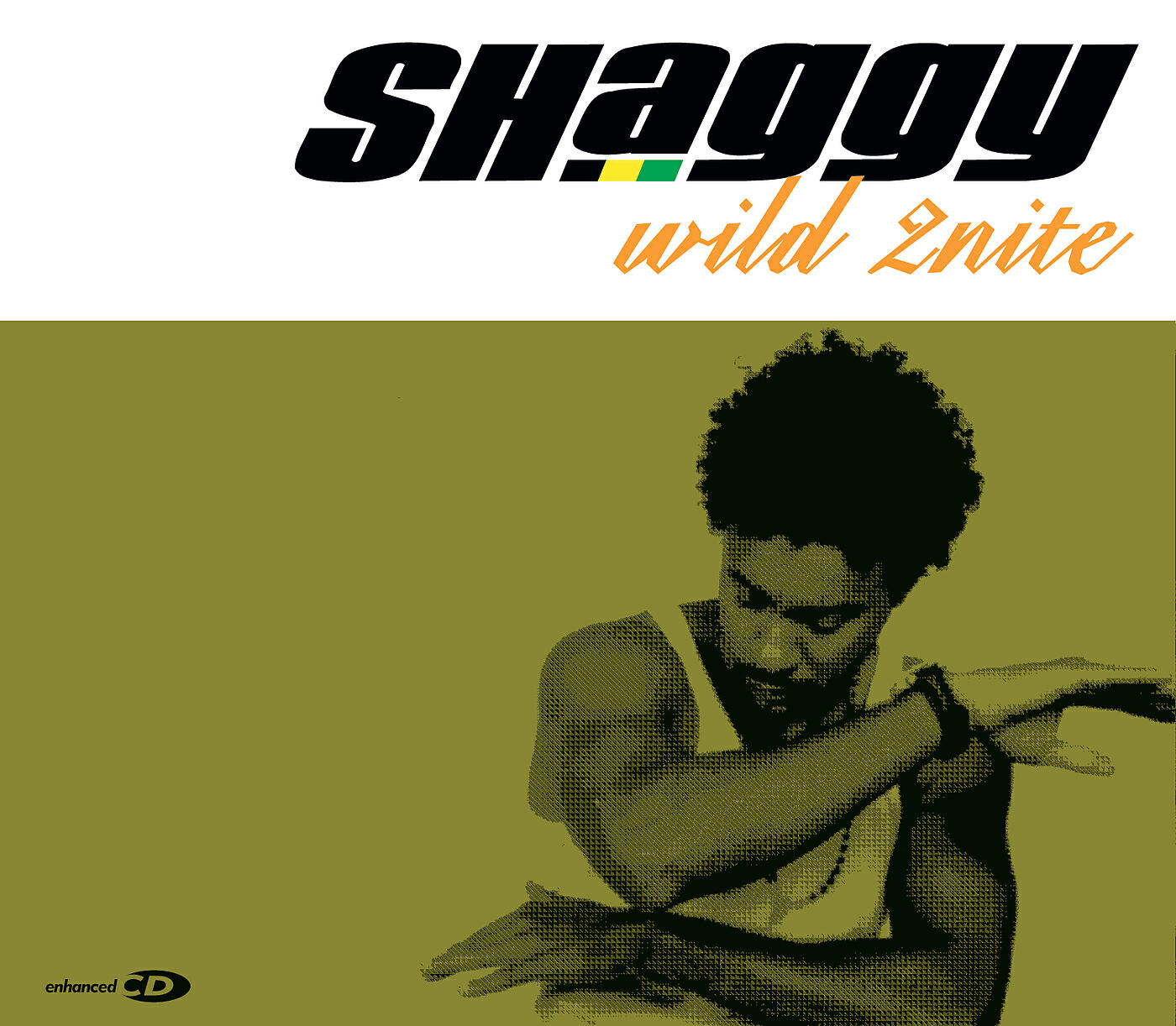 Shaggy - Wild 2Nite (Album Version)