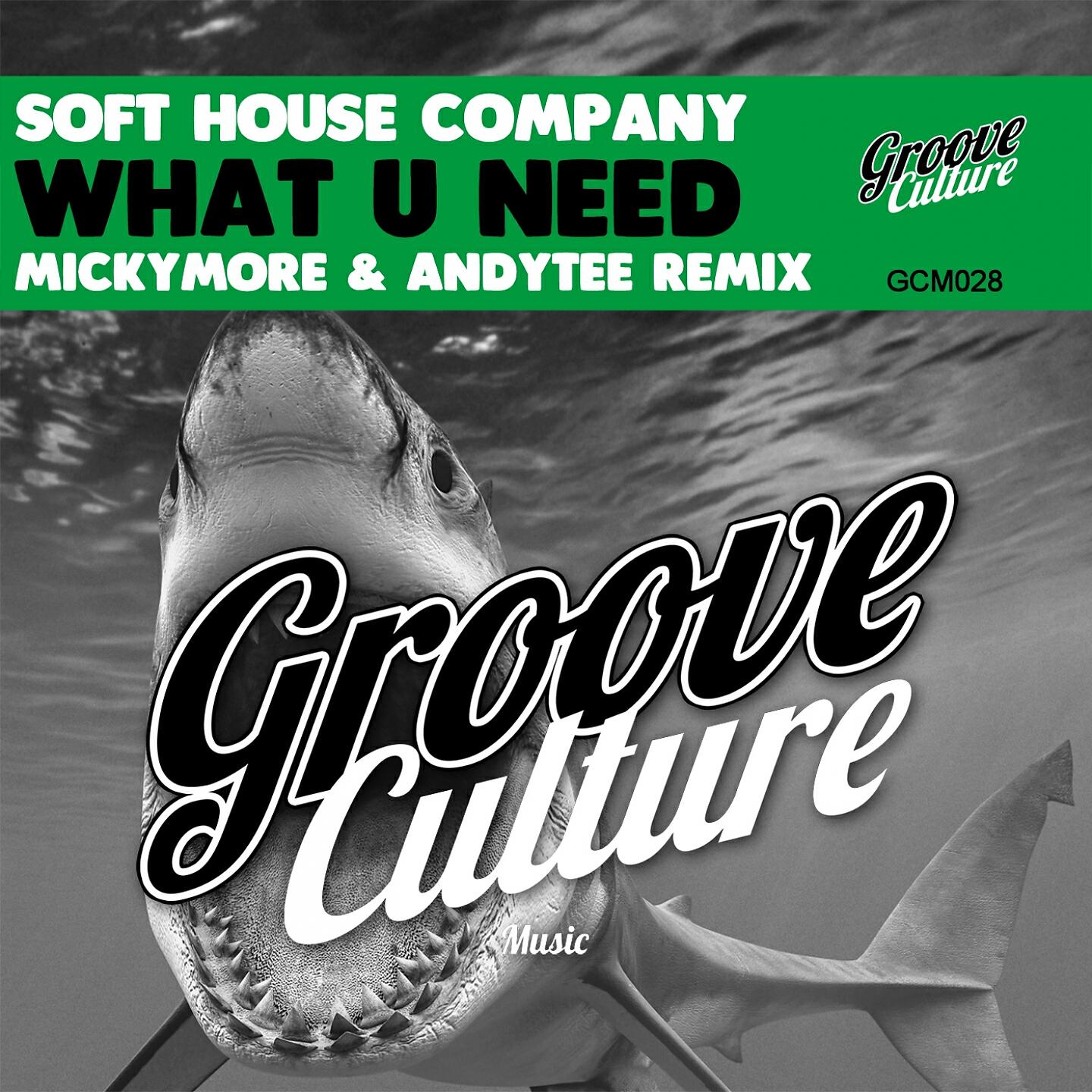 Soft House Company - What You Need (Micky More, Andy Tee Remix)