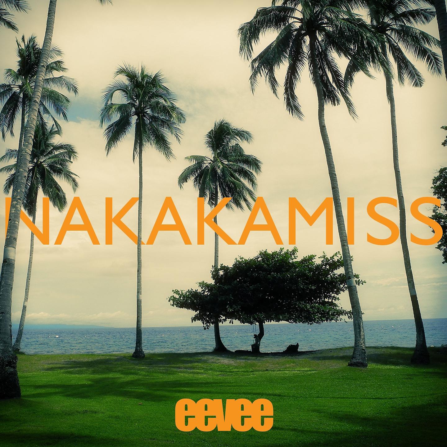 Постер альбома Nakakamiss