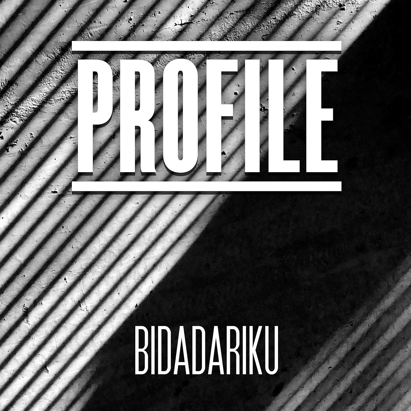 Постер альбома Bidadariku