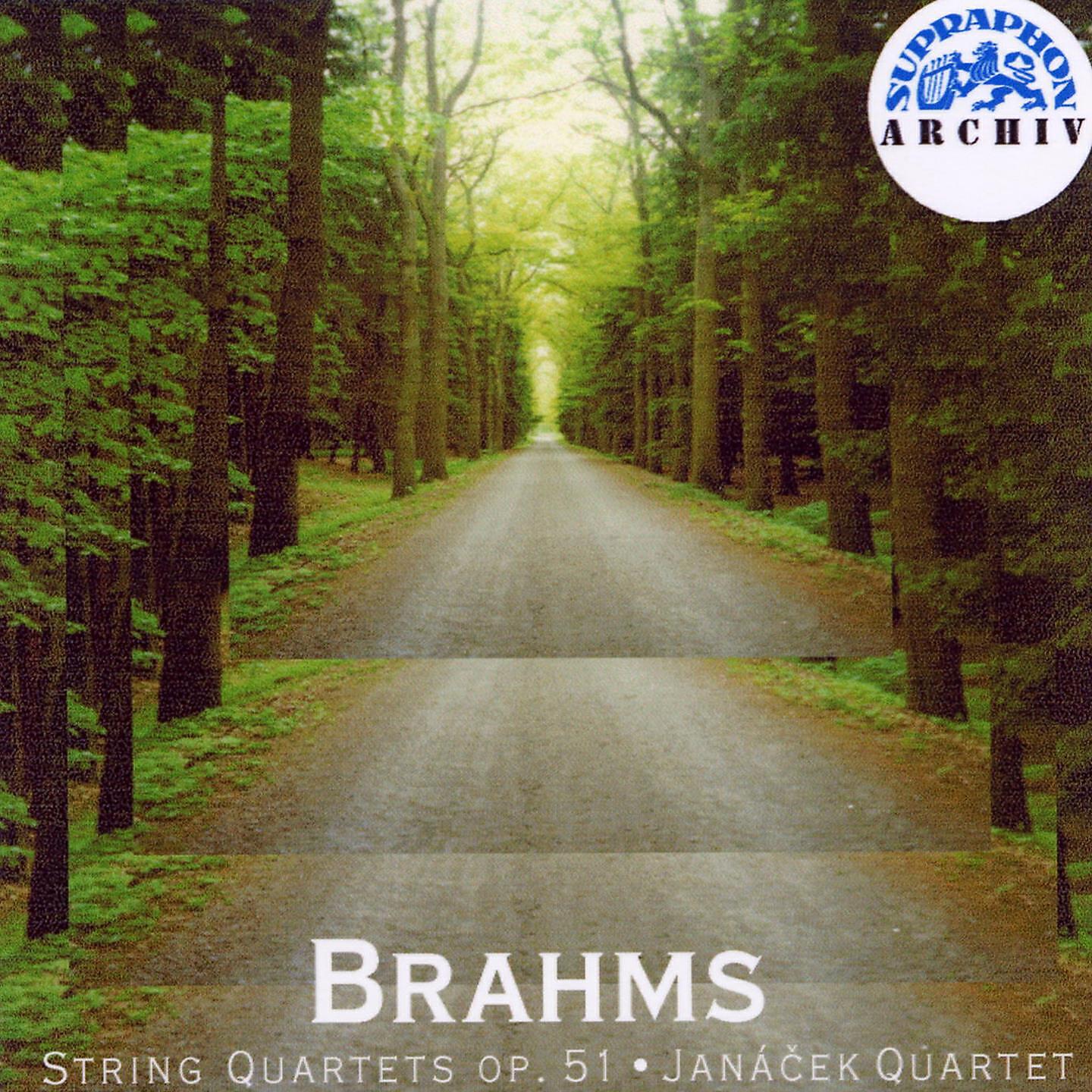 Janacek Quartet - String Quartet No. 1 in C Minor, Op. 51 No. 1: II. Romance. Poco adagio