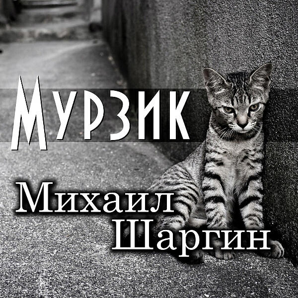 Михаил Шаргин - Обычный летний день