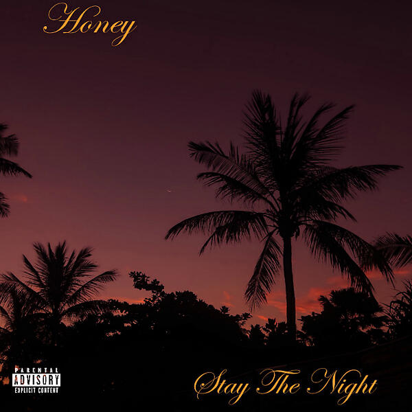 HONEY - Stay The Night  (feat. June B)