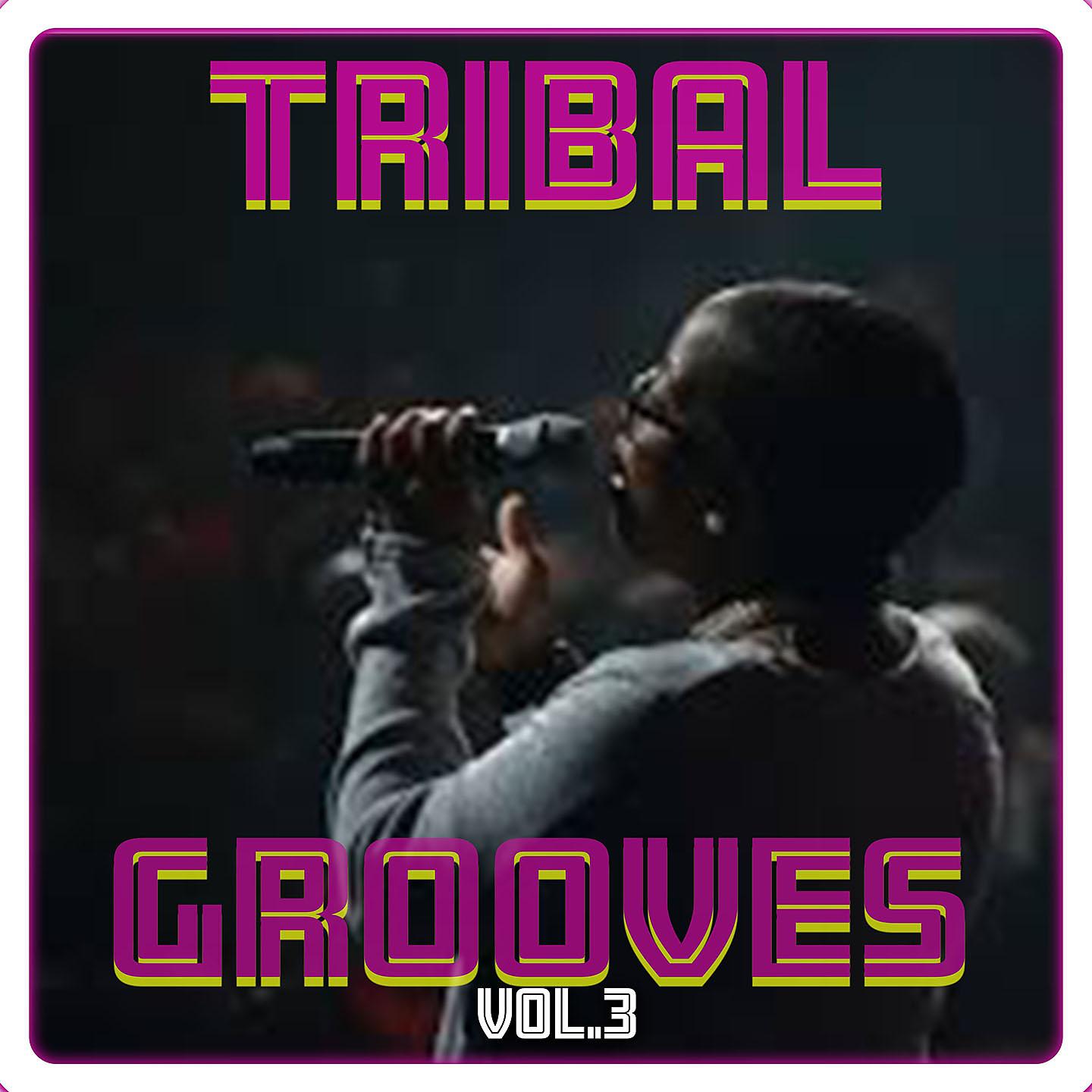 Постер альбома Tribal Grooves Vol. 3