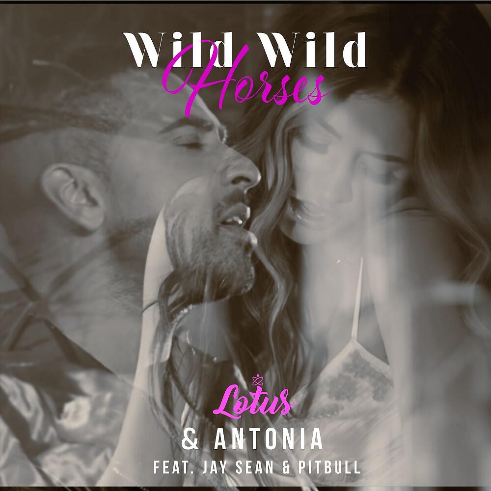 LOTUS - Wild Wild Horses (Danny Carlson Extended Remix)