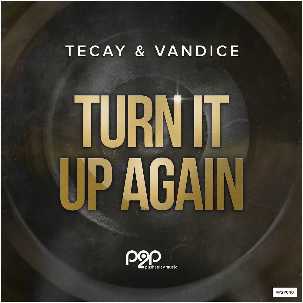 TeCay & Vandice - Turn It up Again (Manu3L Remix)