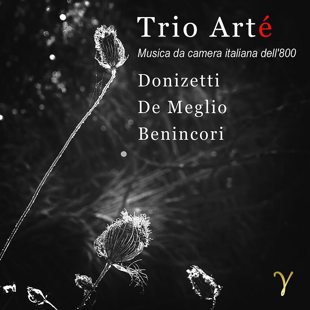 Trio Arté - Donizetti, Gaetano in Mi bemolle maggiore, D929: II. Largo