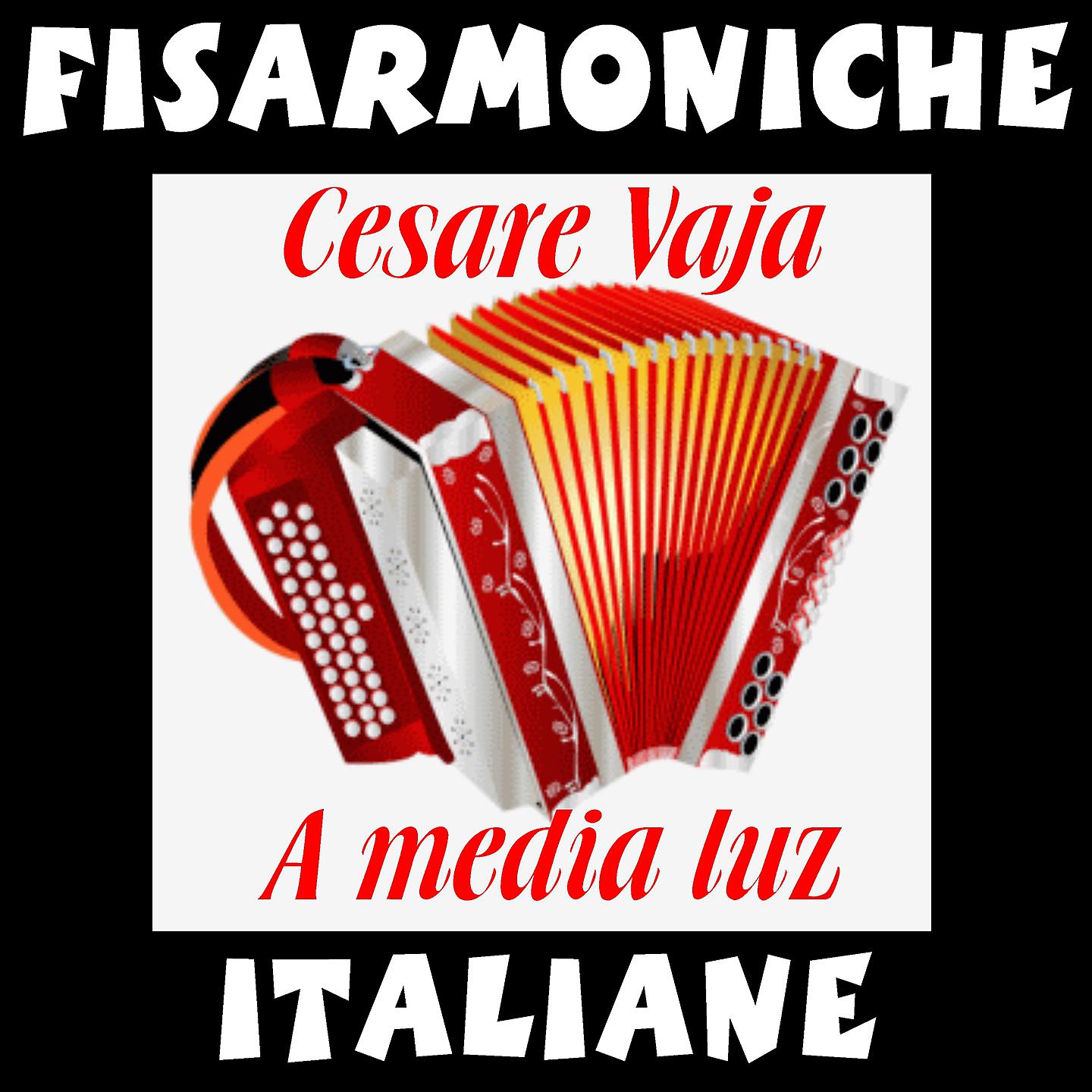 Постер альбома Fisarmoniche italiane - Cesare Vaja: A media luz