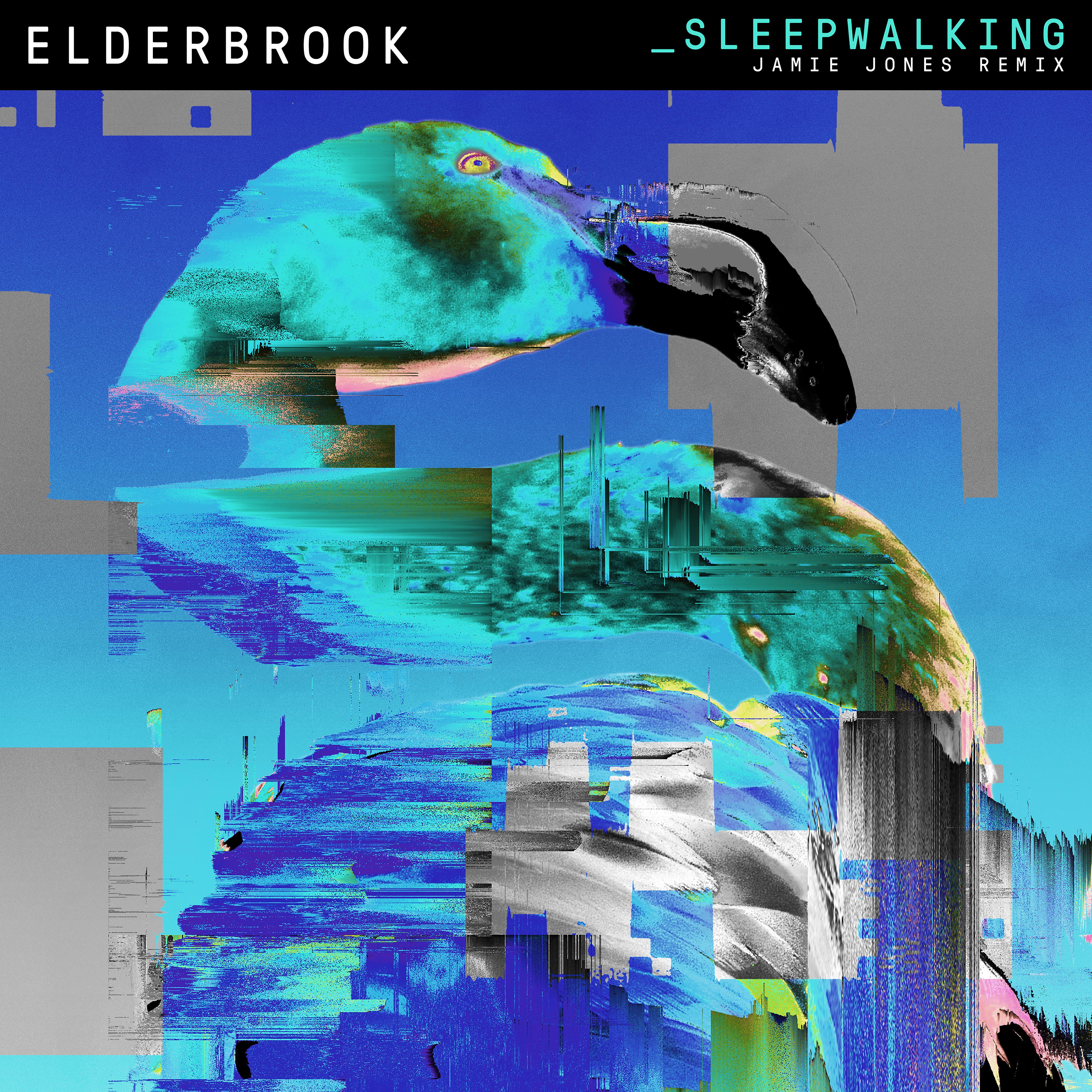 Постер альбома Sleepwalking (Jamie Jones Remix)