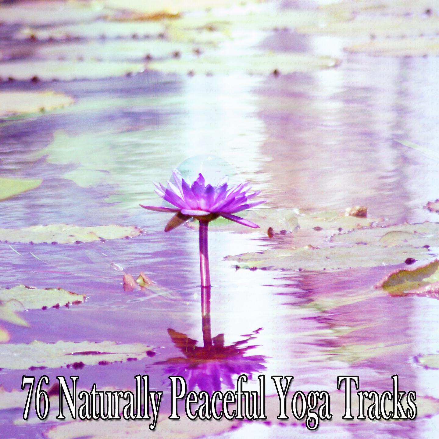 Yoga Soul - Tranquil Adventures