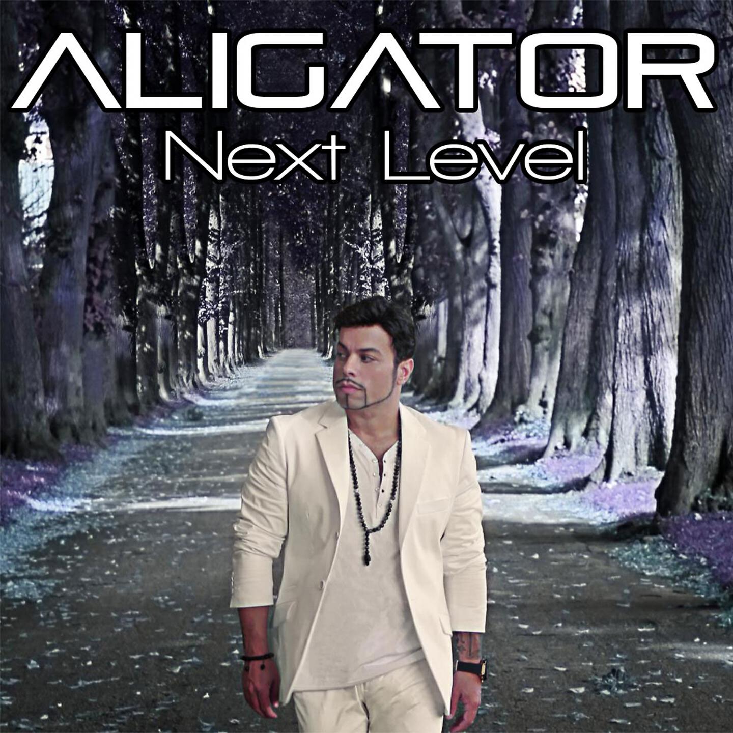 DJ Aligator - The Perfect Match (DJ Aligator's Chill out Remix)