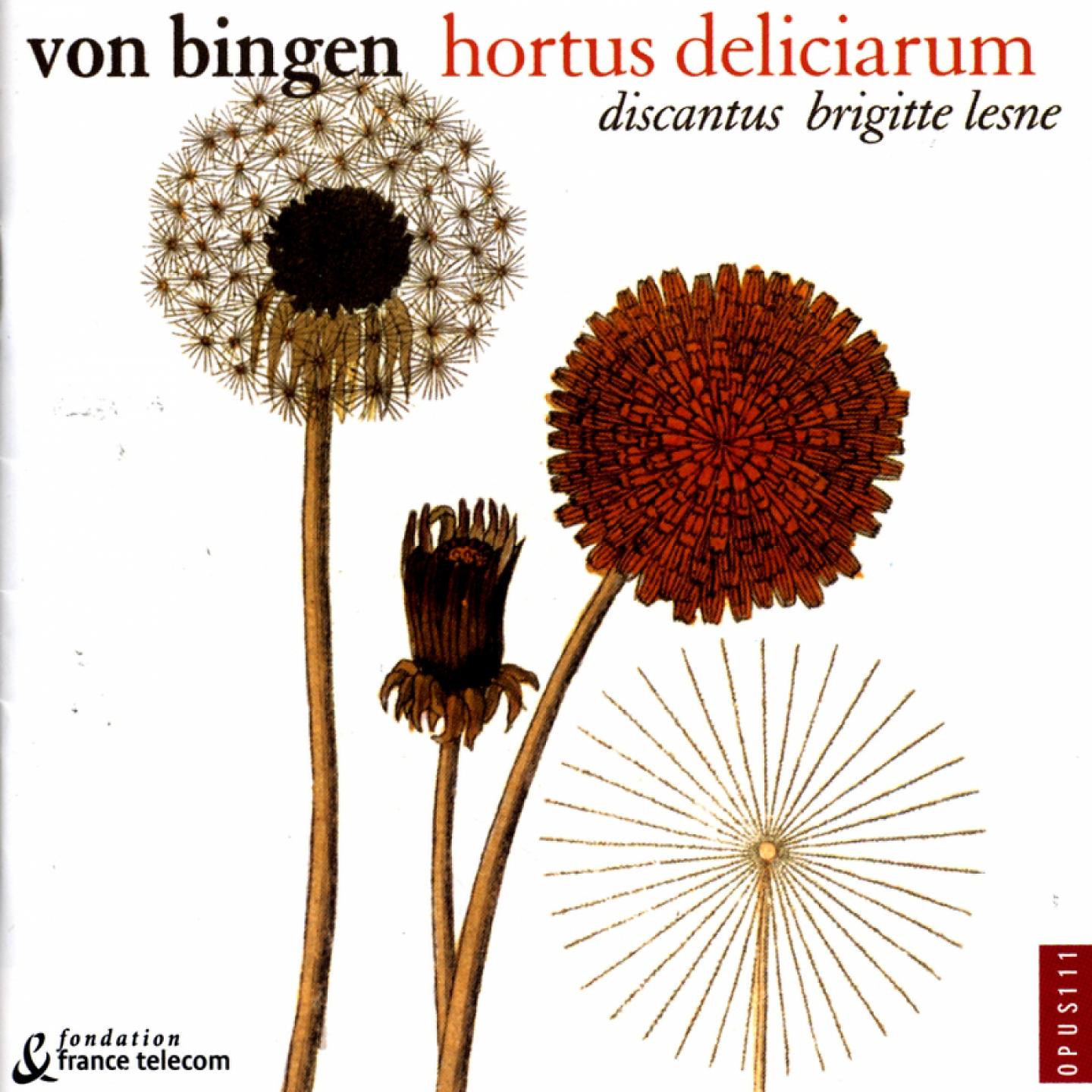 Постер альбома Hortus Deliciarum (Chants Grégoriens Du XIIe S.)