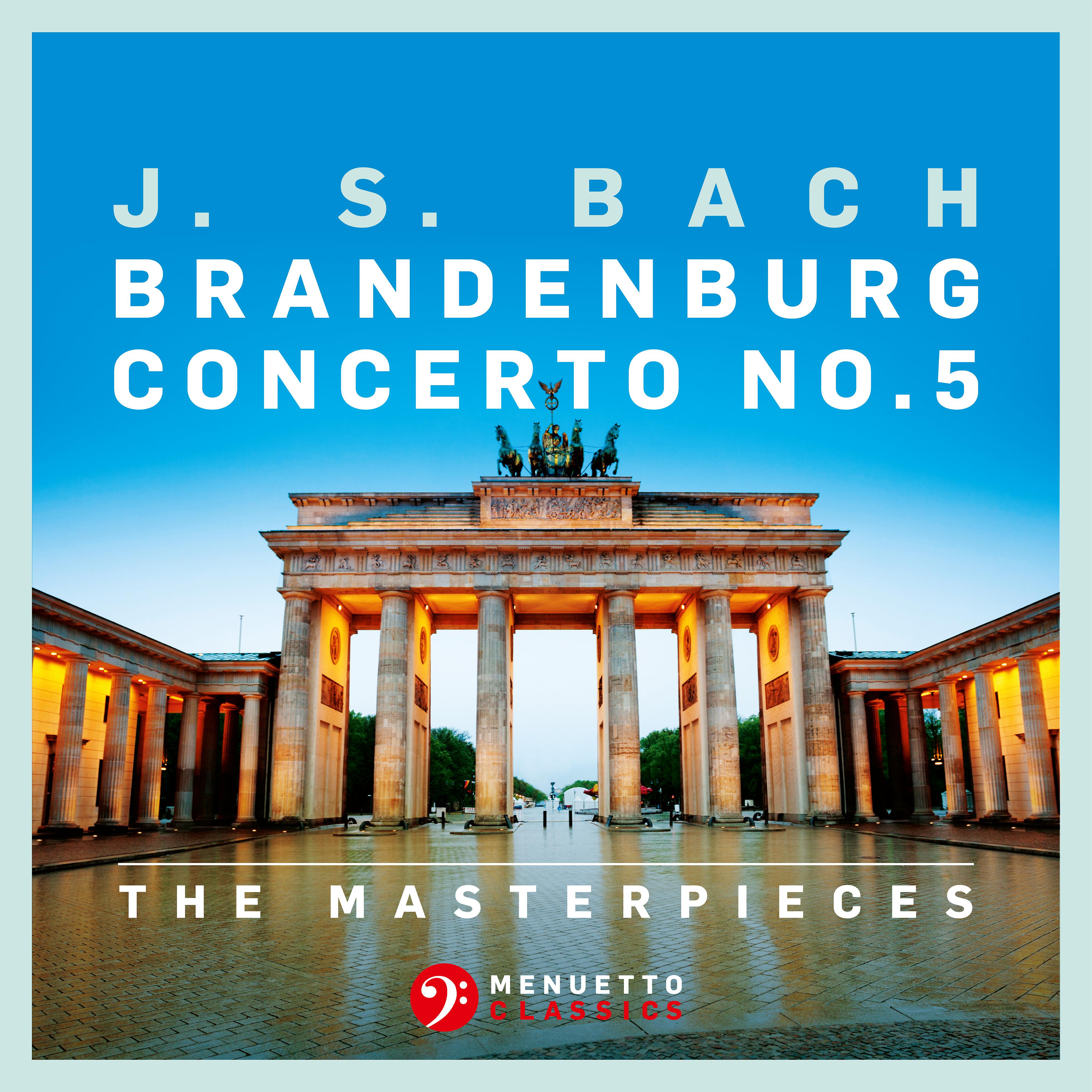 Wurttemberg Chamber Orchestra Heilbronn все минусовки в mp3