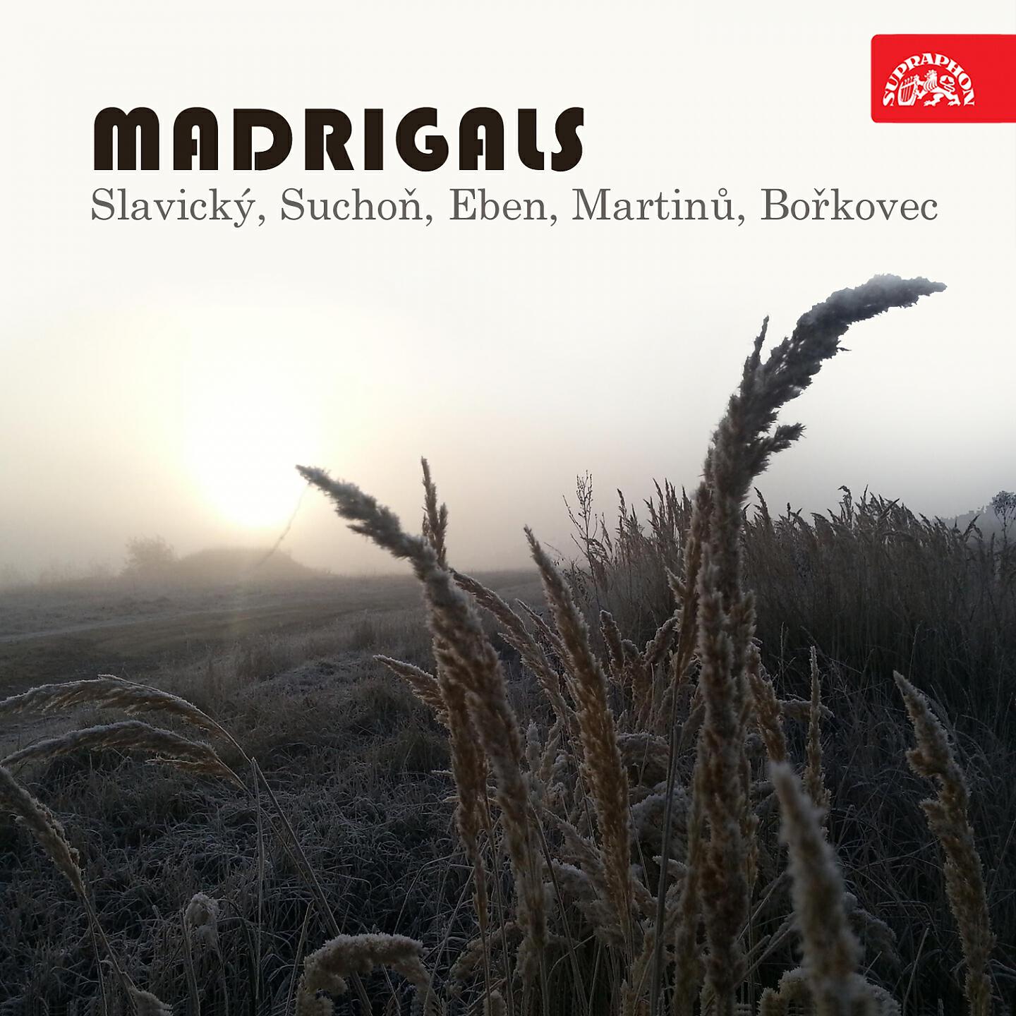 Prague Madrigal Singers and Orchestra - Madrigaly o čase pro smíšený sbor, .: Pošetilost