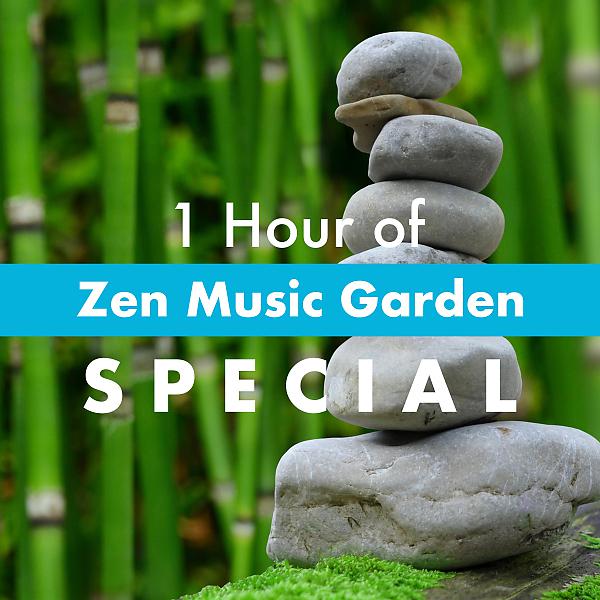 Постер альбома 1 Hour of Zen Music Garden Special