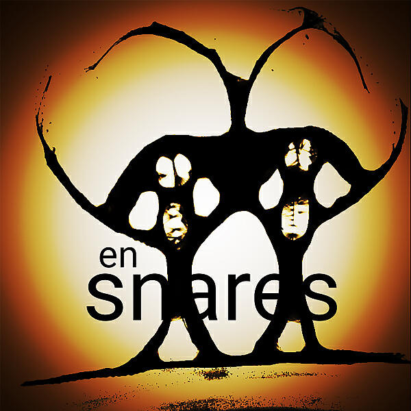 En Snares - analog diskette