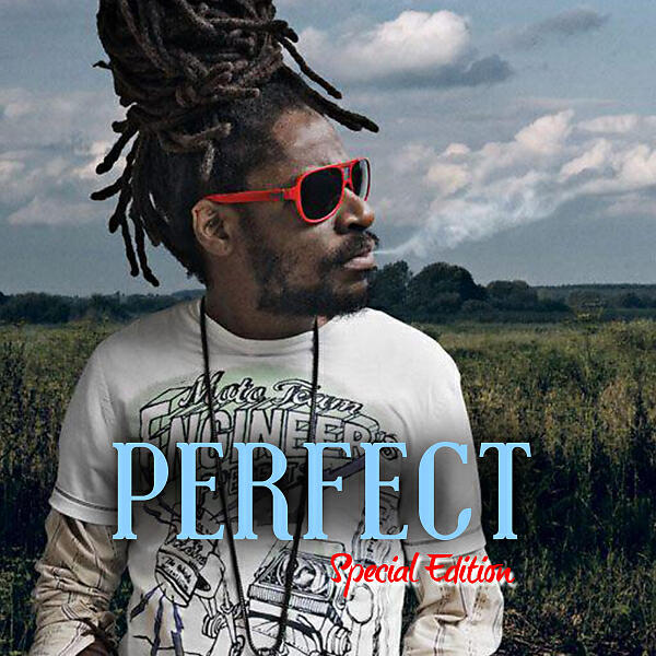 Perfect - Togetherness  (feat. Chezidek, Norrisman, Lutan Fyah & Gyptian)