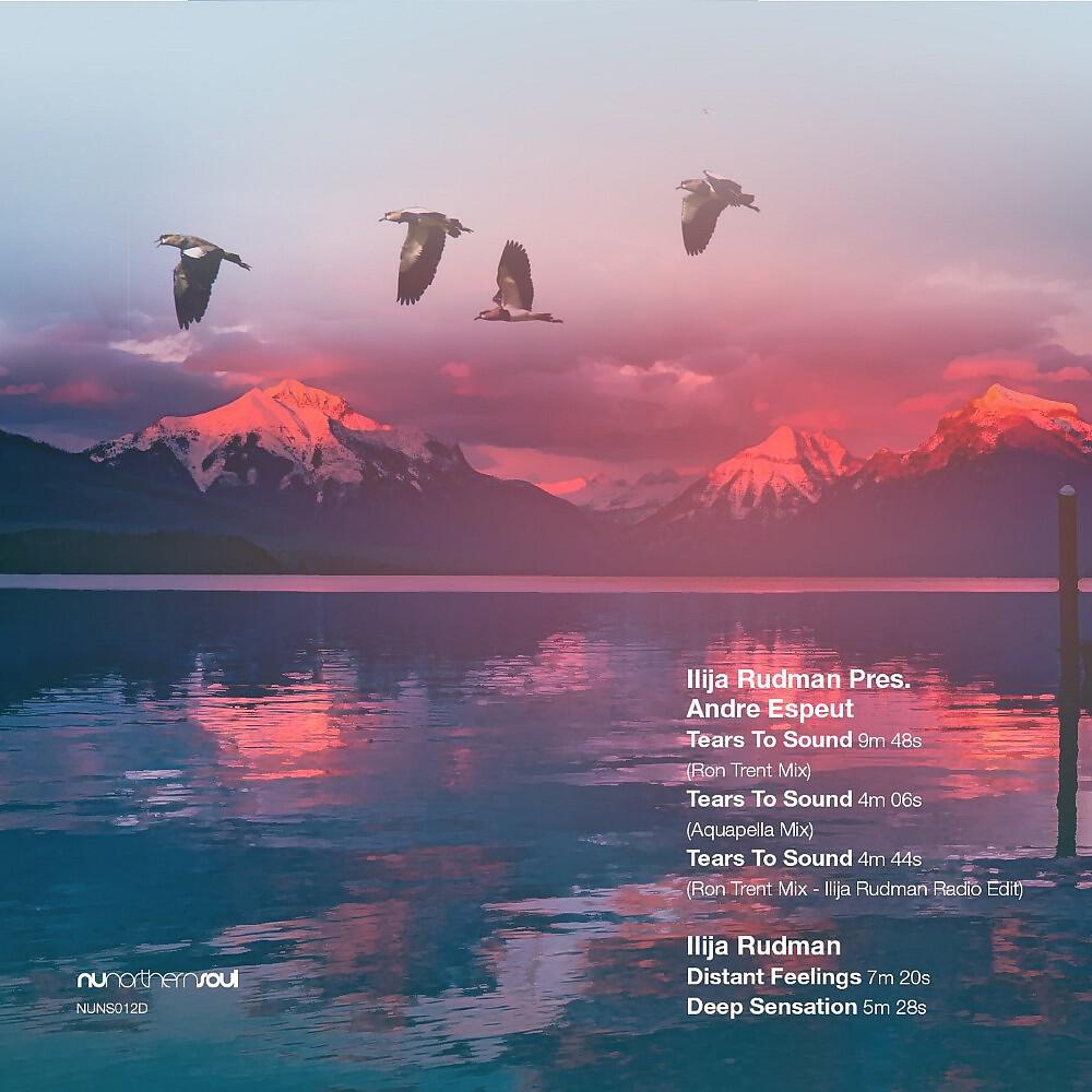 Ilija Rudman & Andre Espeut - Tears to Sound (Ron Trent Mix - Ilija Rudman Radio Edit)