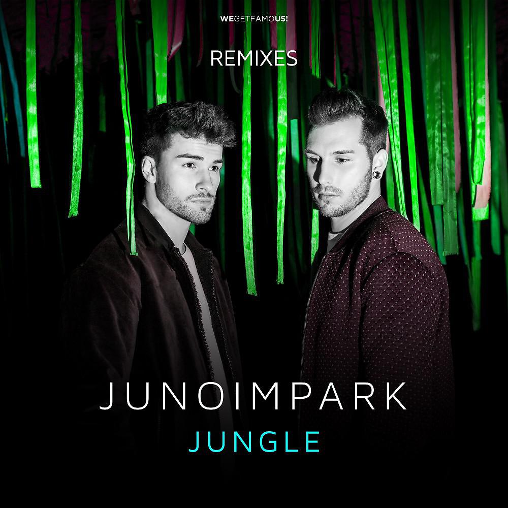 Постер альбома Jungle (Remixes)