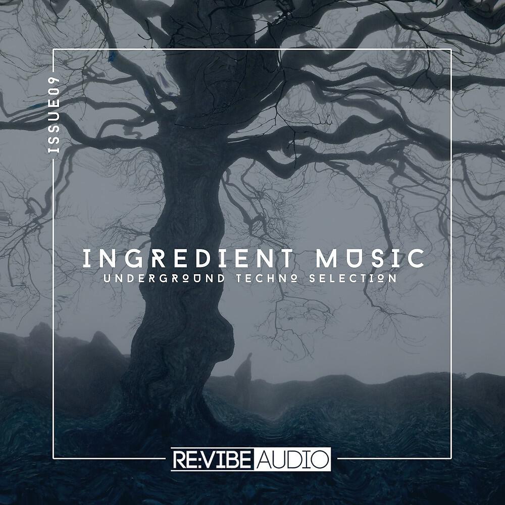Toni Ramos - Ecologic (Original Mix)