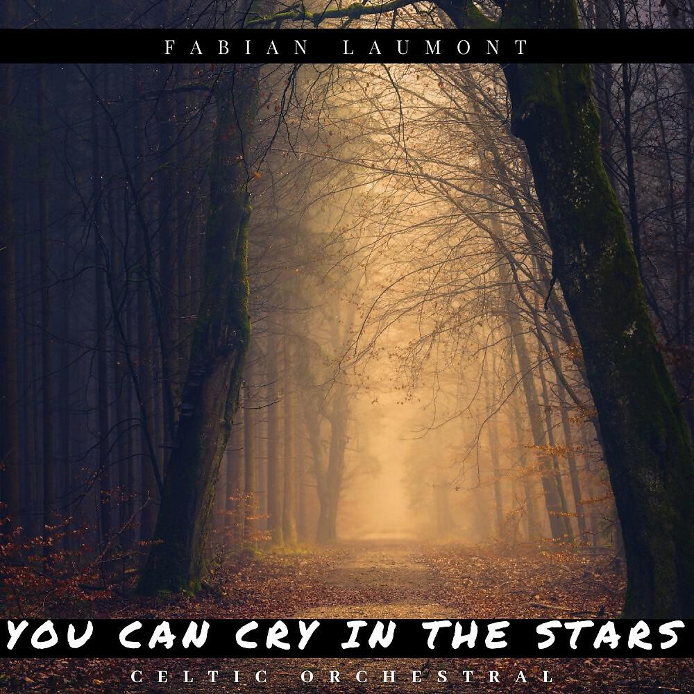 Fabian Laumont - You Can Cry in the Stars (Celtic Orchestral)