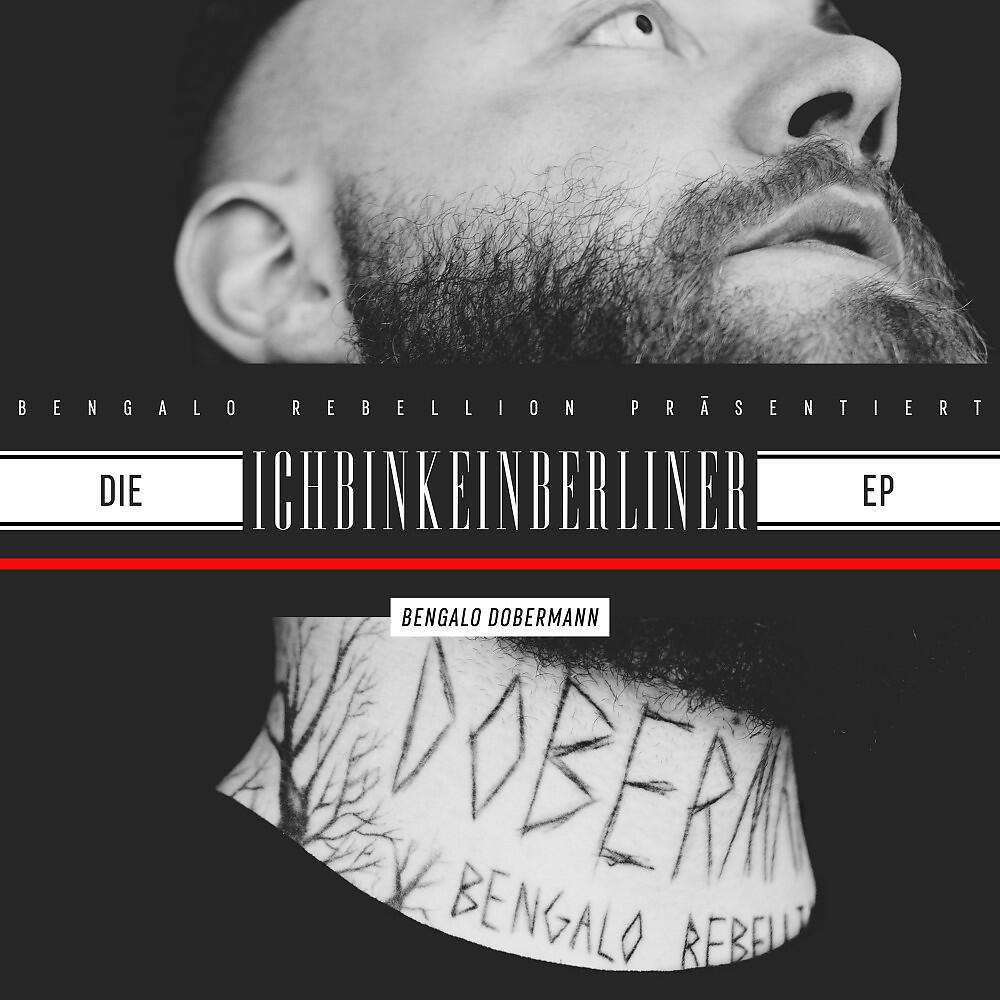 Bengalo Dobermann - Immer stabil