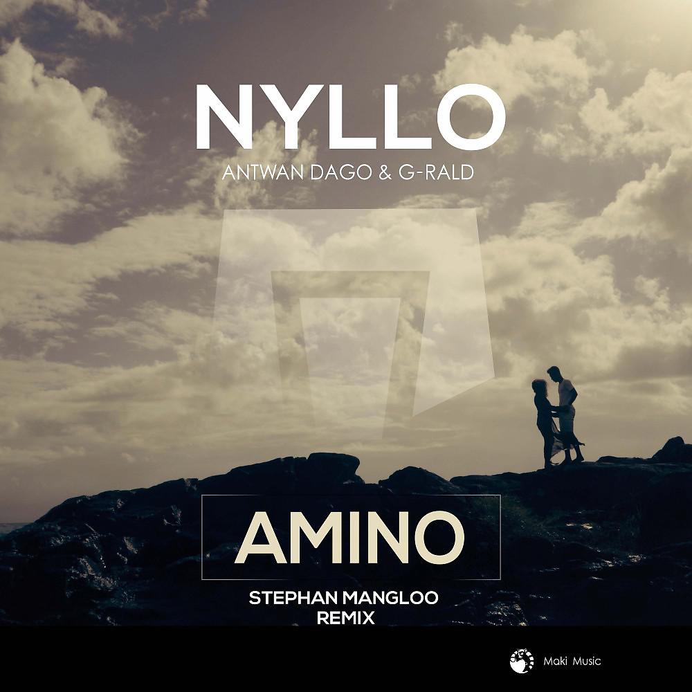 Постер альбома Amino (Remix)